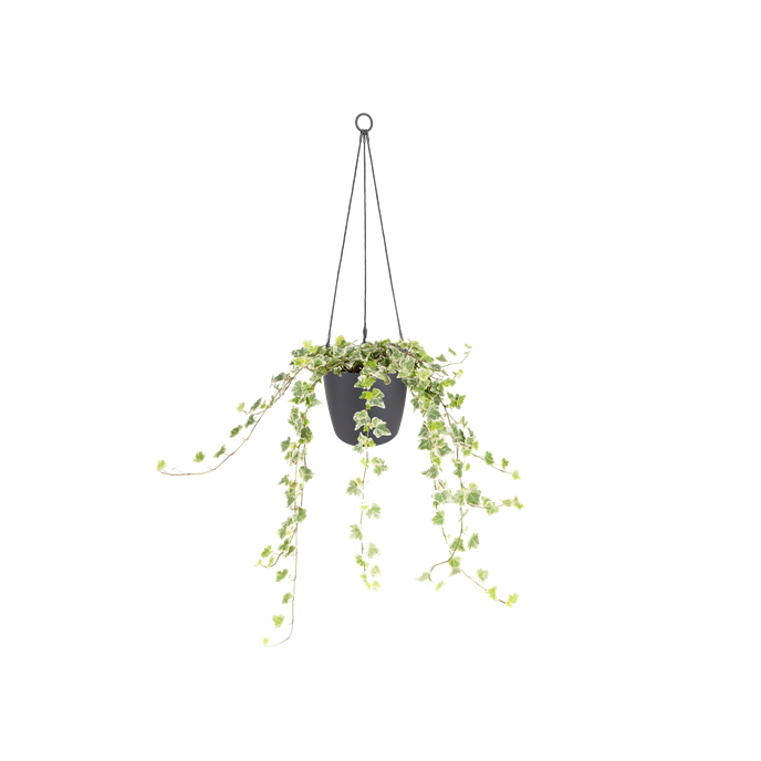 brussels suspension 18cm anthracite